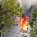 분당분당-A-21 이미지