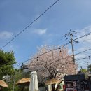 참한상 | 일산 애니골 간장게장 맛집 참한식당 방문후기