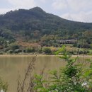 금호목장 이미지