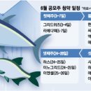 대어 이미지