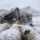 Surviving -50°C: How Shepherds COOKS and SLEEPS in a Frozen Tent 이미지