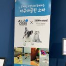 베니시모용인