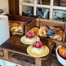 베스애견 | 경주 대릉원 황리단길 카페 애견동반 가능 카페 베이글베이글러