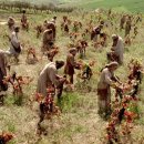 임금농장 이미지