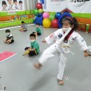 용인대 최강키즈 태권도장 이미지