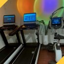 유어PT | 서초에서 만난 최고의 운동 공간, 유어짐 PT 후기