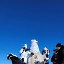 주식회사 브레인씨크릿 이미지