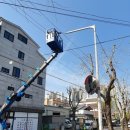 가로등 위치 이미지