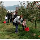 준서네 농장 이미지