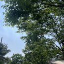 양주 글램핑 [양주탑글램핑] 서울근교 당일치기 글램핑 바베큐 내돈내산 후기