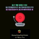 서울땅땅노른자공인중개사사무소 이미지