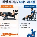파주BYC | 🏋️‍♂️ 라잉 레그컬 / 시티드 레그컬 — 자세와 자극의 차이