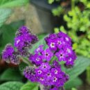 구암동112 이미지