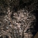 수안보온천길 이미지