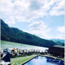 그레이트캠프 르푸앙 이미지