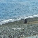 화진2농장 이미지