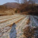 금수환경 이미지