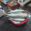 복사초등학교 이미지