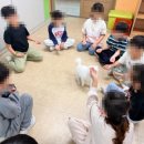 양지초등학교2 이미지