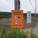 포항고등어추어탕 이미지