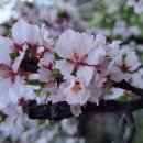 우리슈퍼 이미지