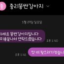 똥싼 강아지 펫아울렛 네이버블로그