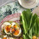 올리브짐 이미지