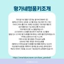 황가네 명품키조개 이미지