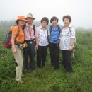 곰배령스케치 이미지