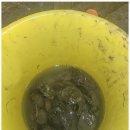 투민 | 남해여행 자연 속 힐링 여행의 완성, 투민펜션 후기