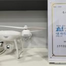 세심태권도 이미지