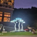 포레스트리솜 이미지