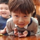 재우목장 Daum카페