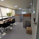 덴탈맑음 이미지