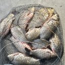 성호낚시터 이미지