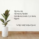 내 글도 에세이가 될 수 있을까 | 내마음은 어디서 넘어졌을까 출간 후기