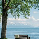 하나리움시티 이미지