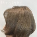 주흥길 25 이미지