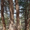 노송주유소 이미지