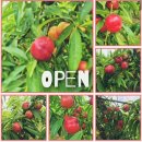 승철농장 | 바쁜일상 Day-off💡