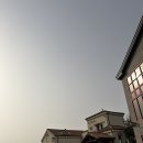 메모리팩토리 | 얼렁뚱땅 세종 한적한 카페 메모리팩토리 방문 후기