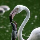 경희제생한의원 이미지