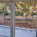 판교월든힐스공인중개사사무소 | (서판교부동산)한국의 비버리힐스 월든힐스2단지 매매