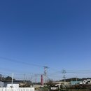 마을지기 가든 | 진도현지맛집/진도 숨은찐맛집 김치찌개가 맛있는 '마을지기가든'