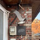 스테이 파랑 이미지