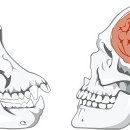 전구인간 이미지