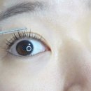 래쉬티비 이미지