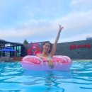 청초호베스트호텔 이미지