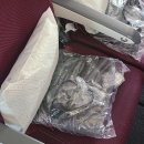 중동096 | 유럽여행 카타르항공 후기(QR859, QR039, QR096, QR858)