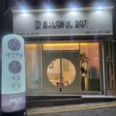 살롱드 207 이미지